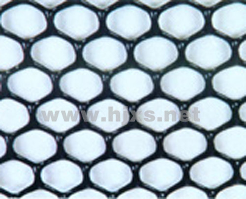 ��ľ�W(w��ng)